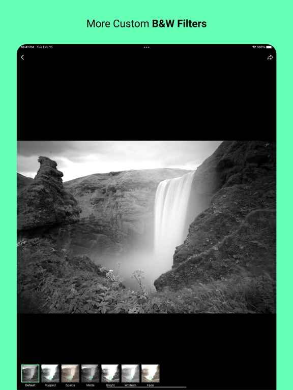 Black And White Filter - Ansal iPad screenshot 3 - Photo & Video app