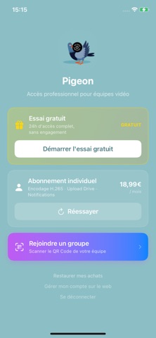 Pigeon Voyageur screenshot