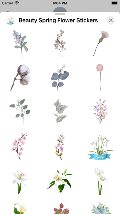 Beauty Spring Flower Stickers Screenshot