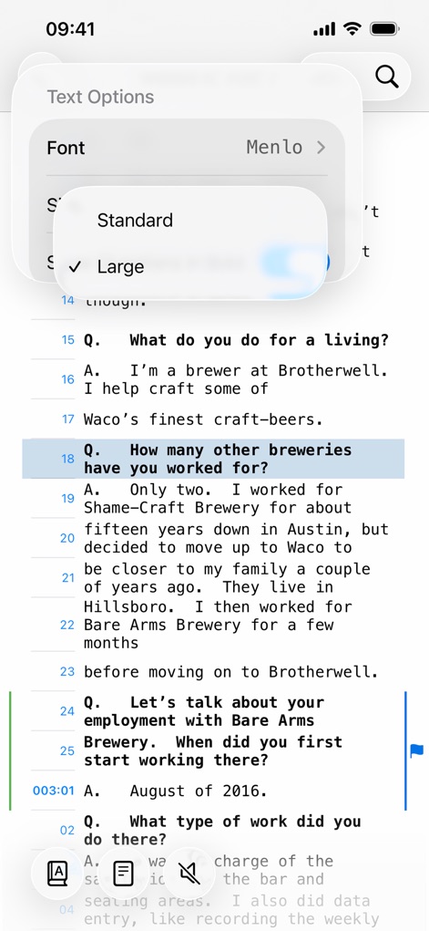 TranscriptPad - Review Depos - transcriptpad-text-options-iphone