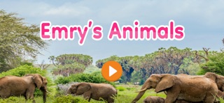 Emry's Animals screenshot 1