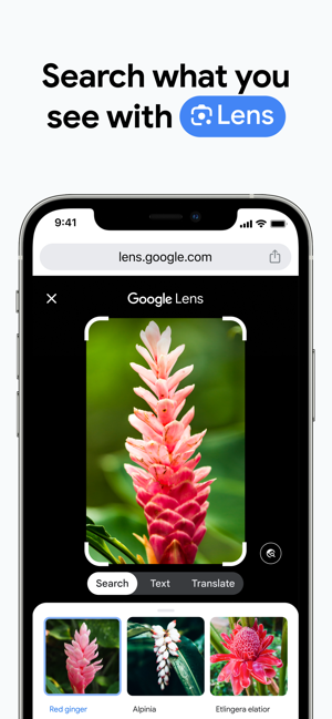 Google Chrome Screenshot
