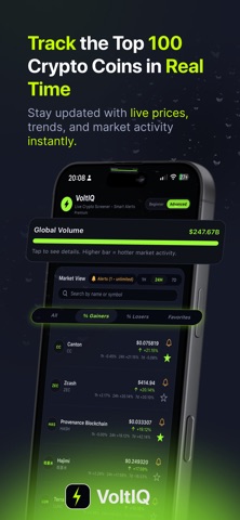 VoltIQ screenshot
