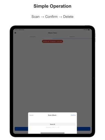 AlbumClean-Smart Photo Cleaner iPad screenshot