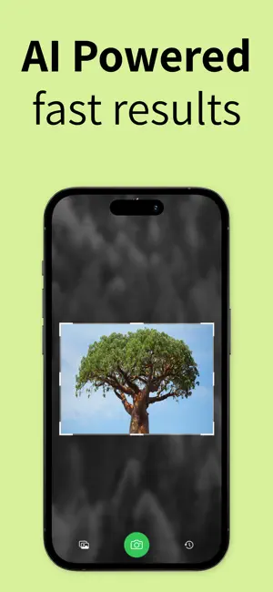 Tree Identifier: Wood & Leaf ‎ screenshot 3