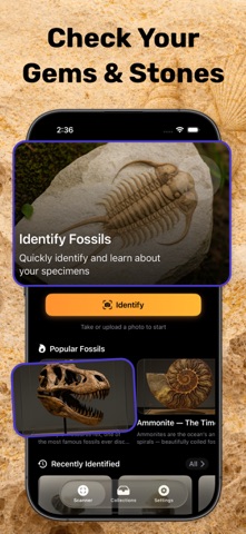 Fossil Identifier & Rock ID iPhone screenshot