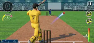 World Champion 3D Cricket Game screenshot 1