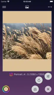 sizefit : easy resize photo iphone screenshot 2