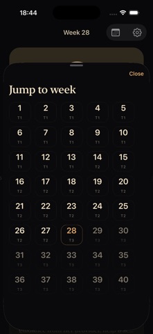 Tandem: Pregnancy Together iPhone screenshot