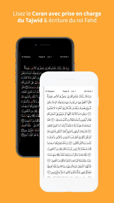 Screenshot #3 pour Mémoriser Quran