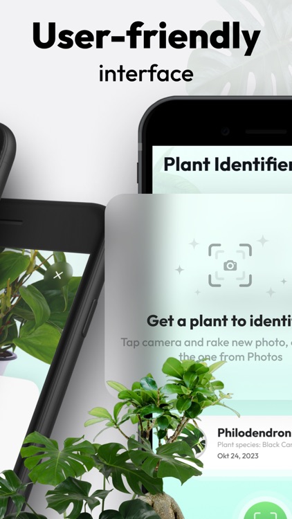 Plantics: Plant Identifier App screenshot-3