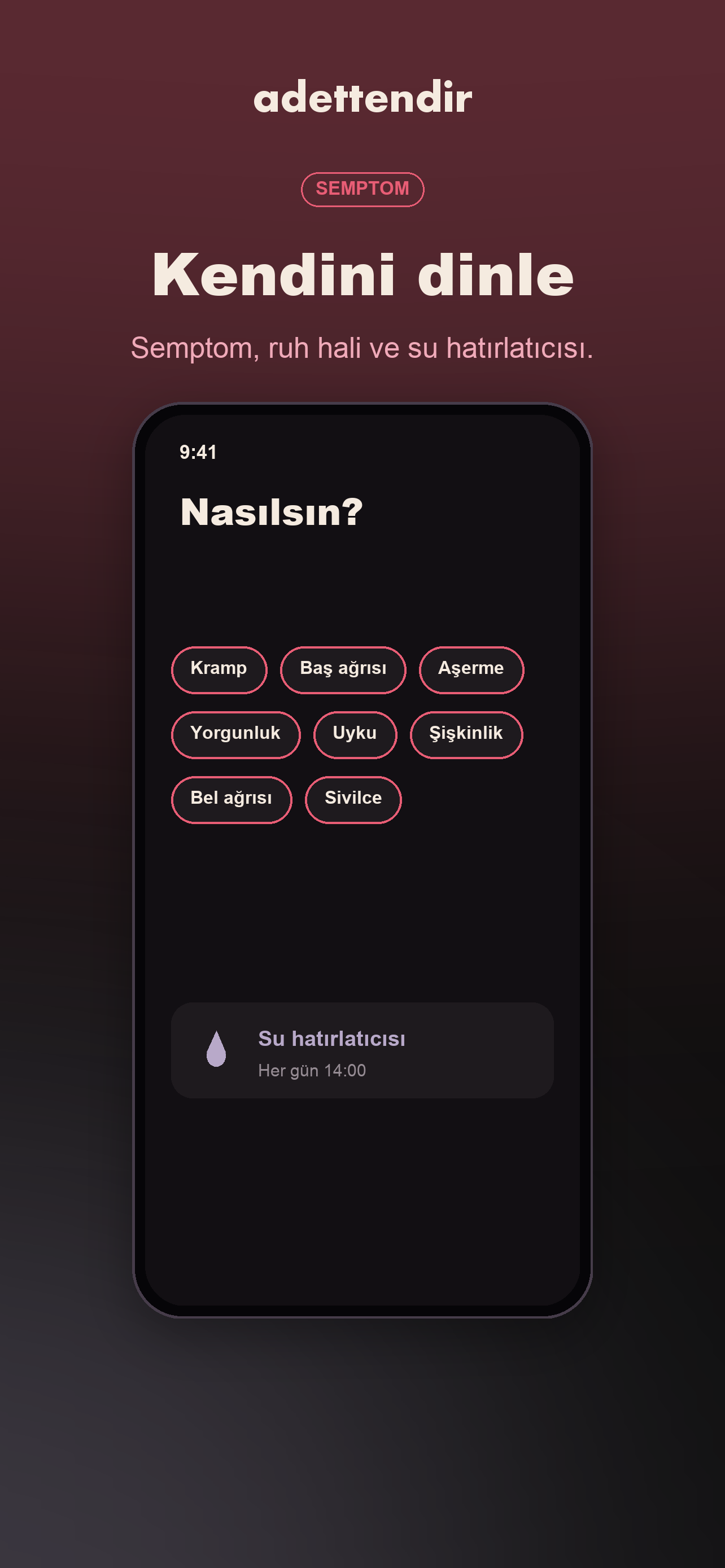 adettendir screenshot 7