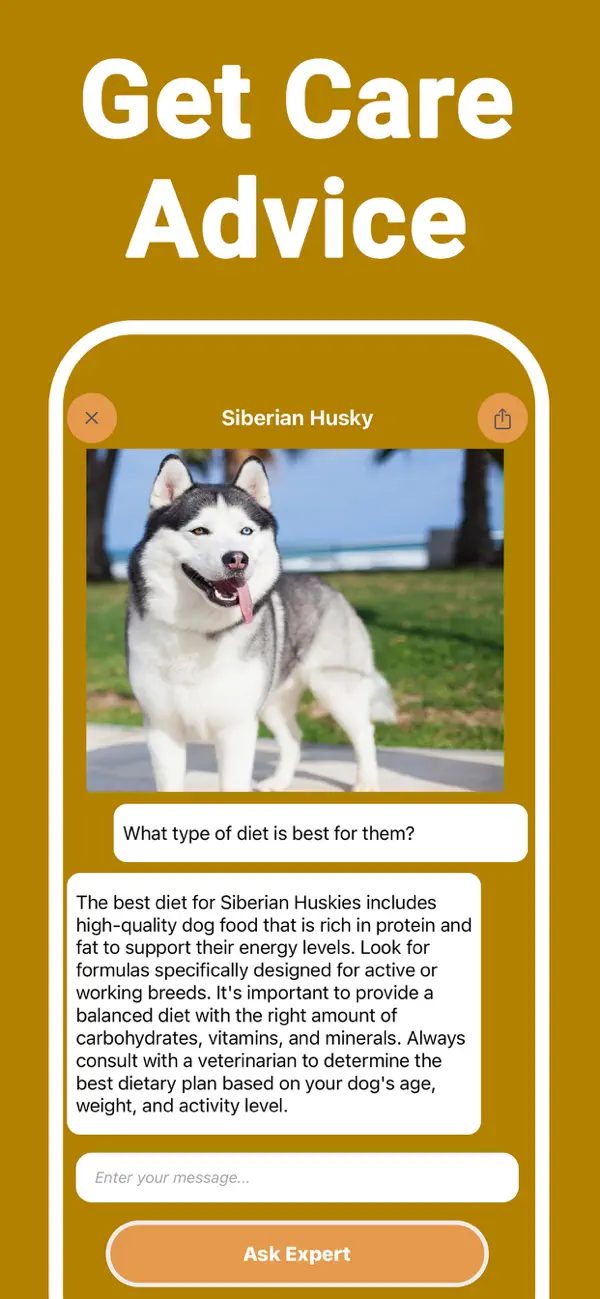 Dogbud screenshot 3
