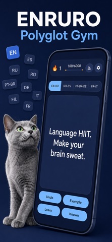 ENRURO: Vocabulary Flashcards iPhone screenshot