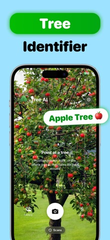 Tree Identifier ° Tree AI Screenshot 1 of 3