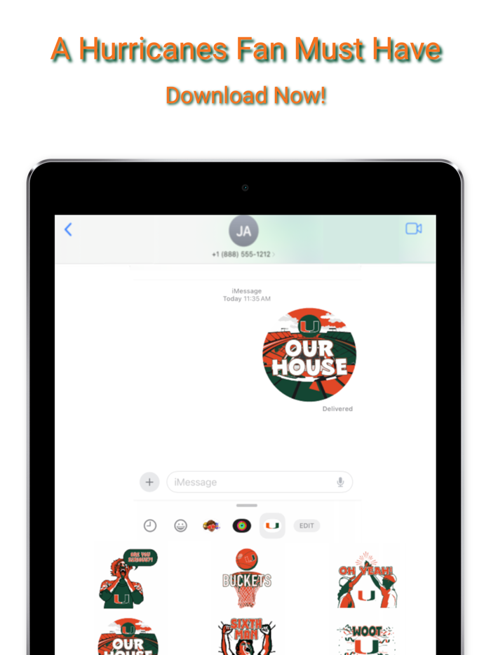 Hurricanes Sticker Pack 2024