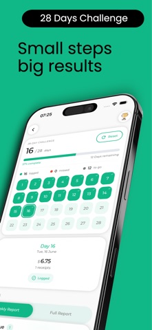 Budget Planner App - Tally screenshot