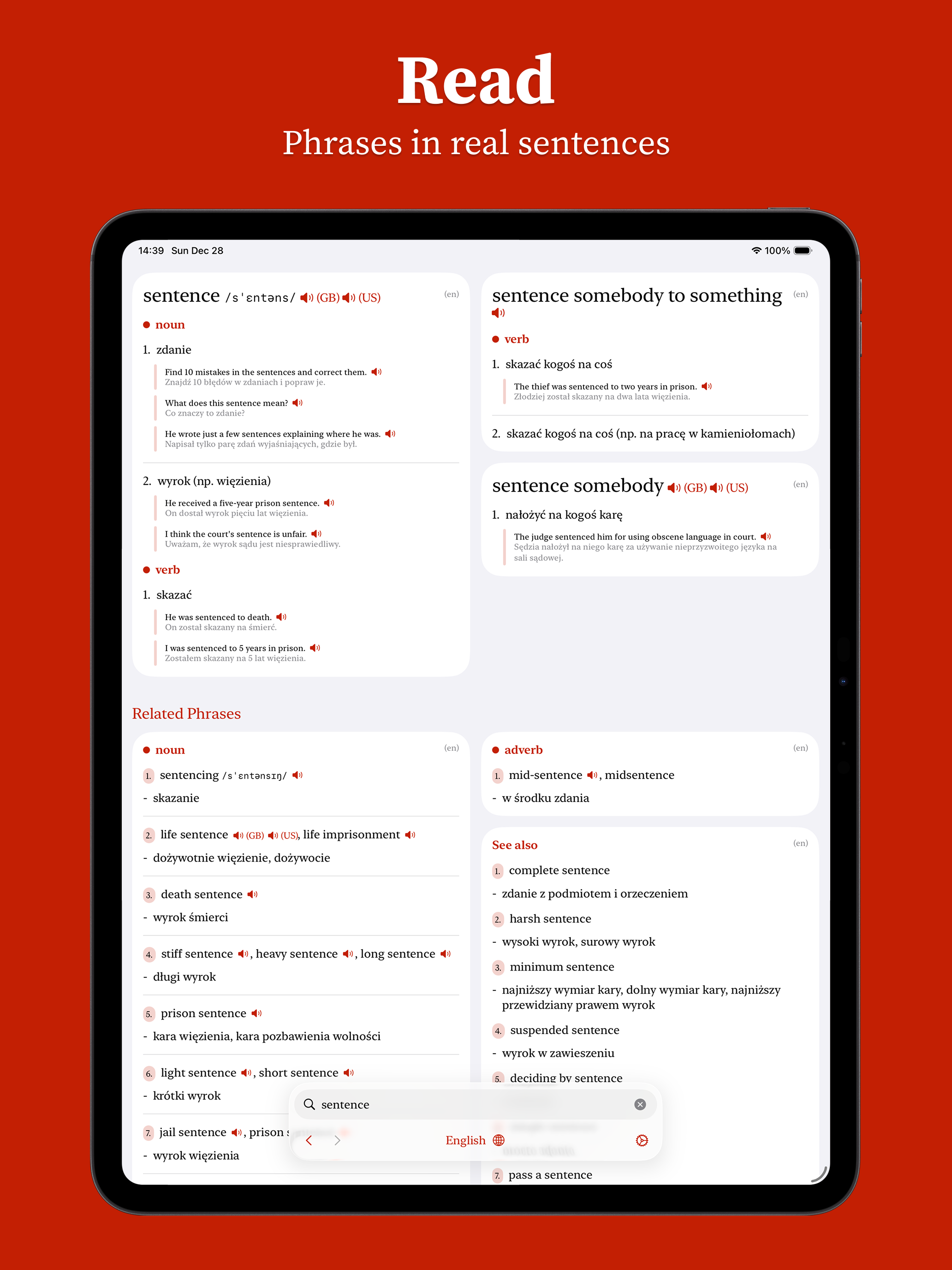 Dikt - Dictionary screenshot 12
