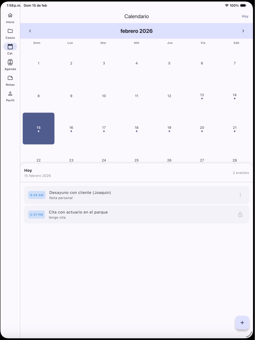 iPad screenshot