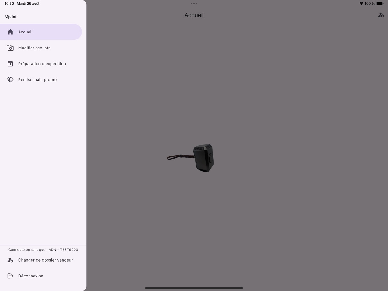 iPad screenshot