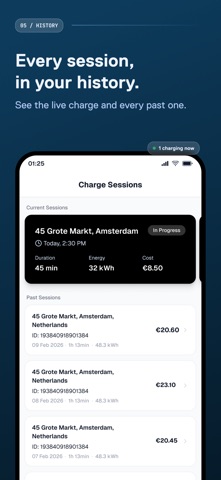D'Ieteren Energy - Charging screenshot