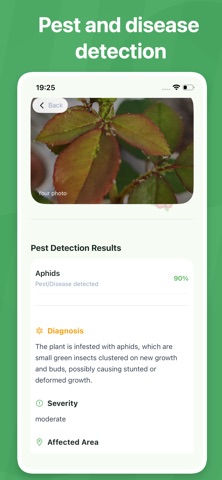Anthaly-plant identification Screenshot 3 of 5