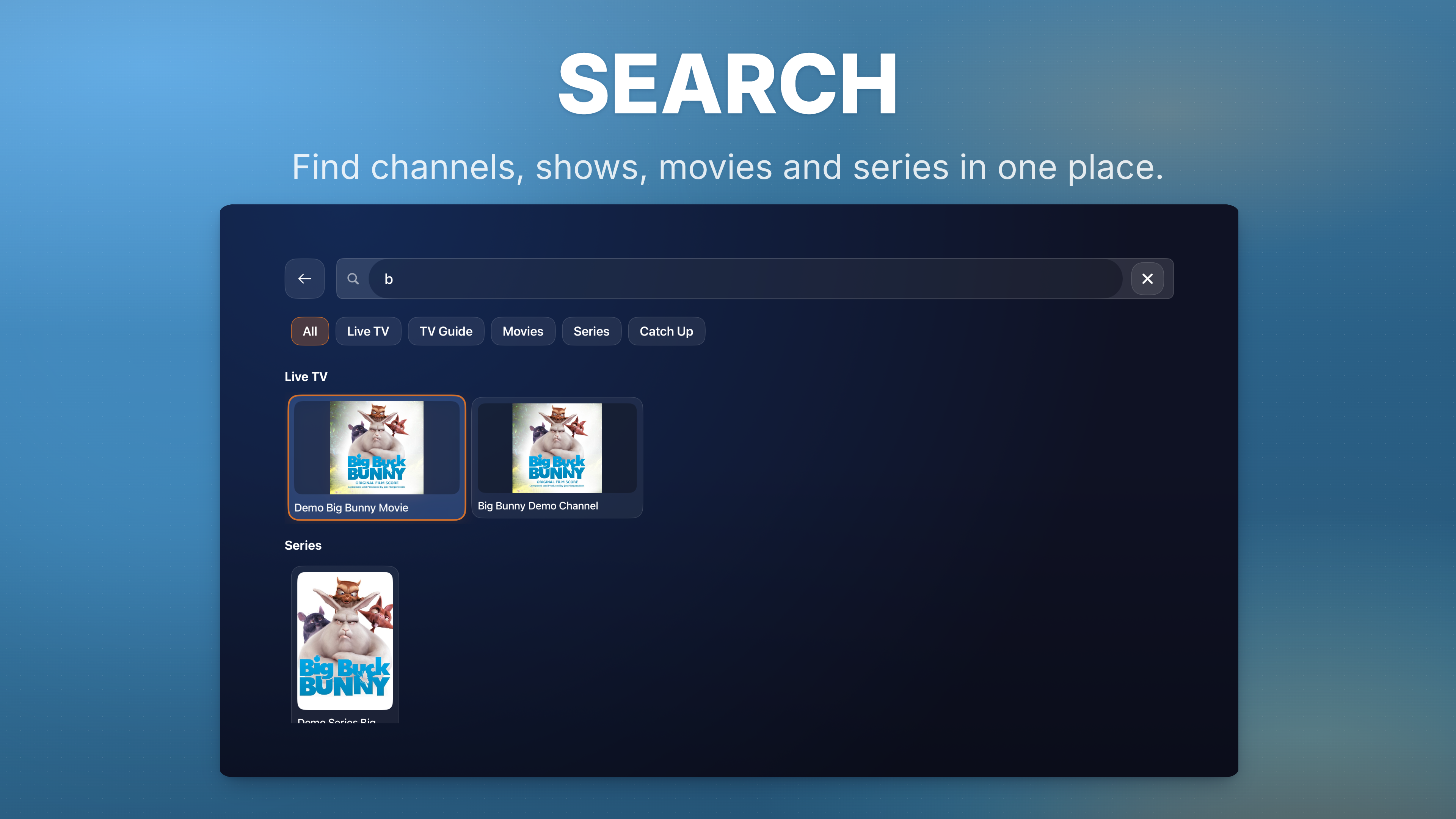 GAMMA IPTV PLAYER screenshot 24