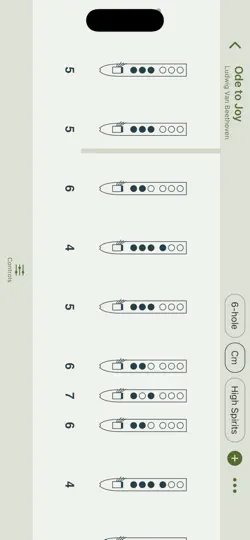 Скриншот Native Flute Tabs на iPhone 3