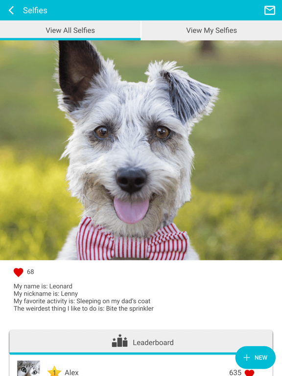 East West Vet Care iPad screenshot 4 - Business app