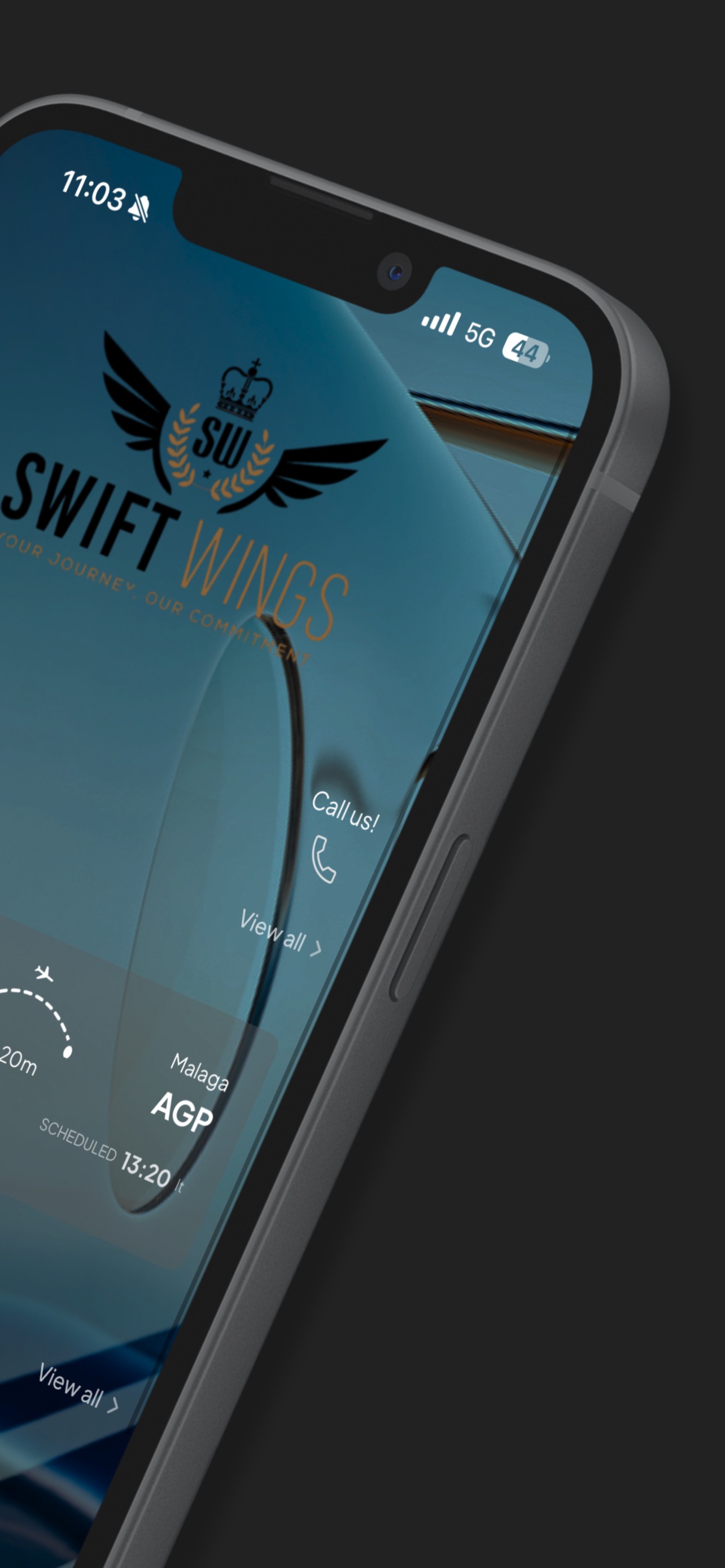 Screenshot 2 of Swift Wings Aviation