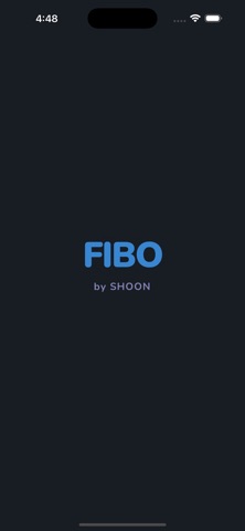 FIBO Puzzle screenshot