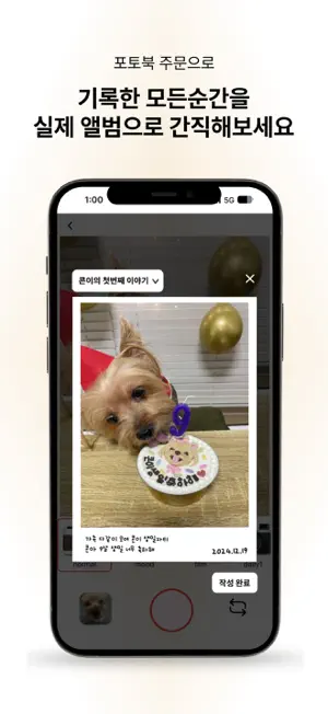 펫모먼트-Pet Moment screenshot 4