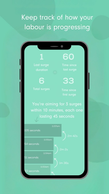 Freya • Surge Timer
