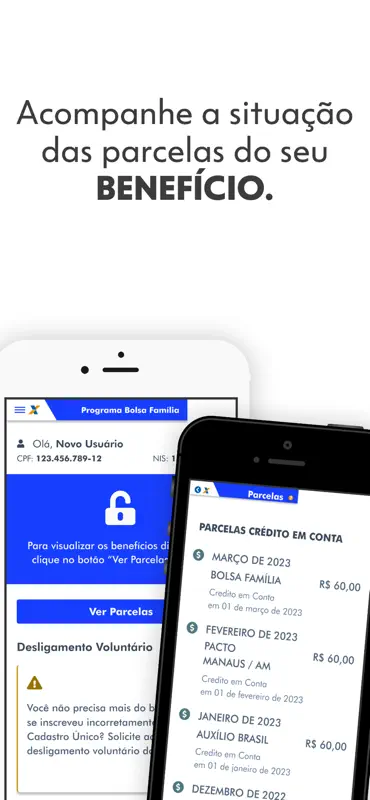 Bolsa Família screenshot 3 of 6