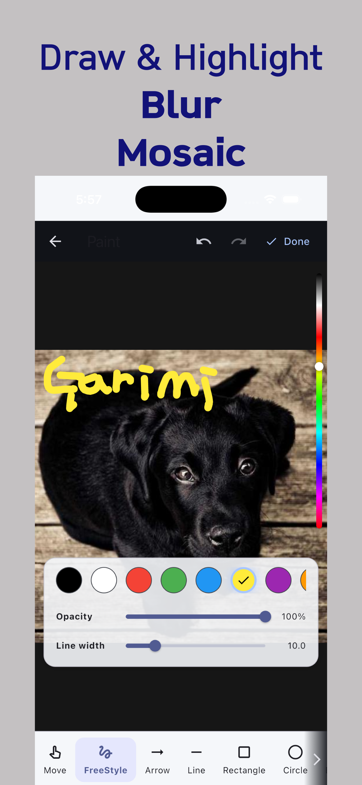 Garimi: PDF & Image Redaction