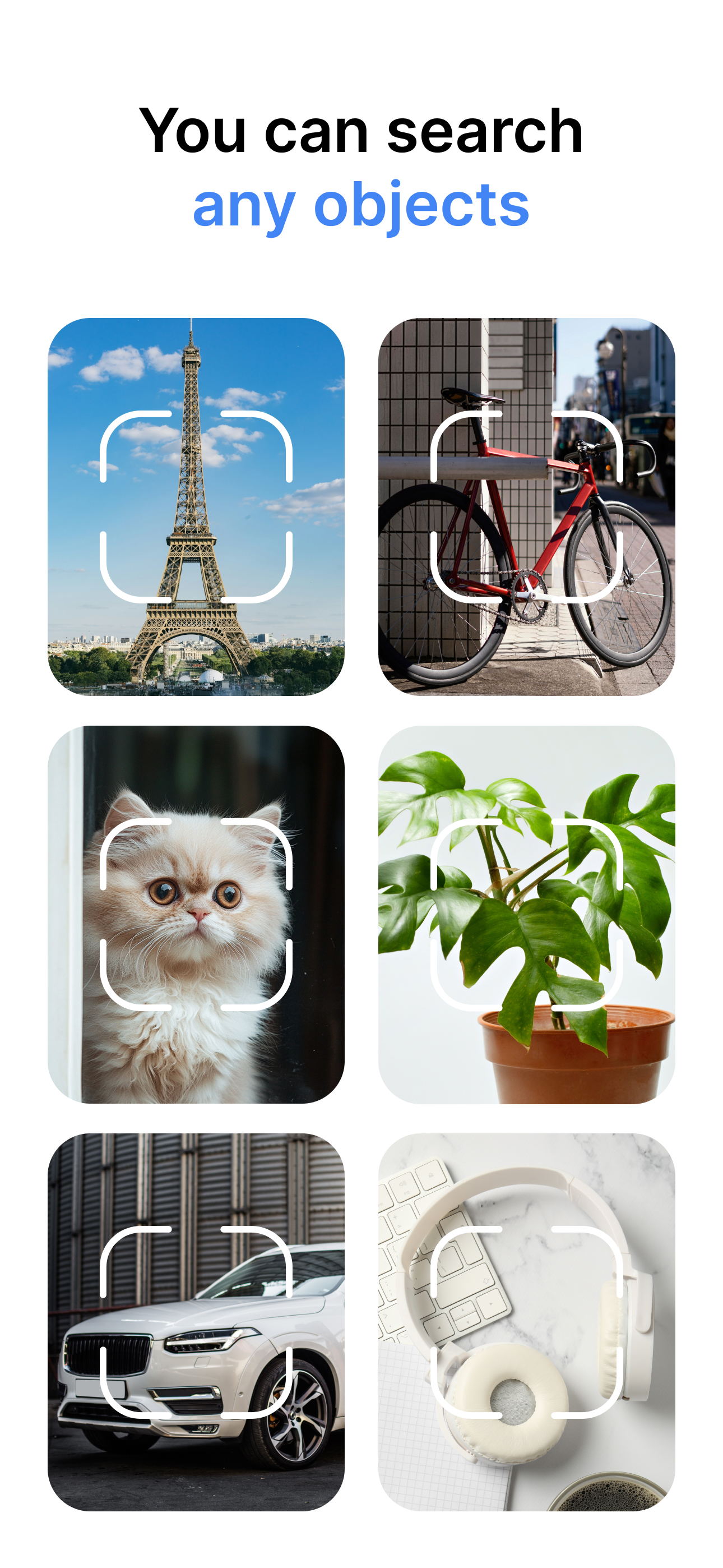 Lens Photo Scan・Identifier All