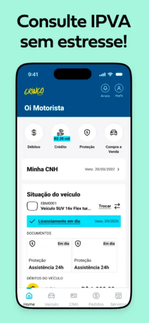 Gringo: IPVA e Licenciamento iPhone screenshot 4