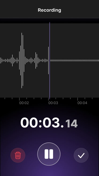 Voice Recorder Pro for iPhone screenshot-3
