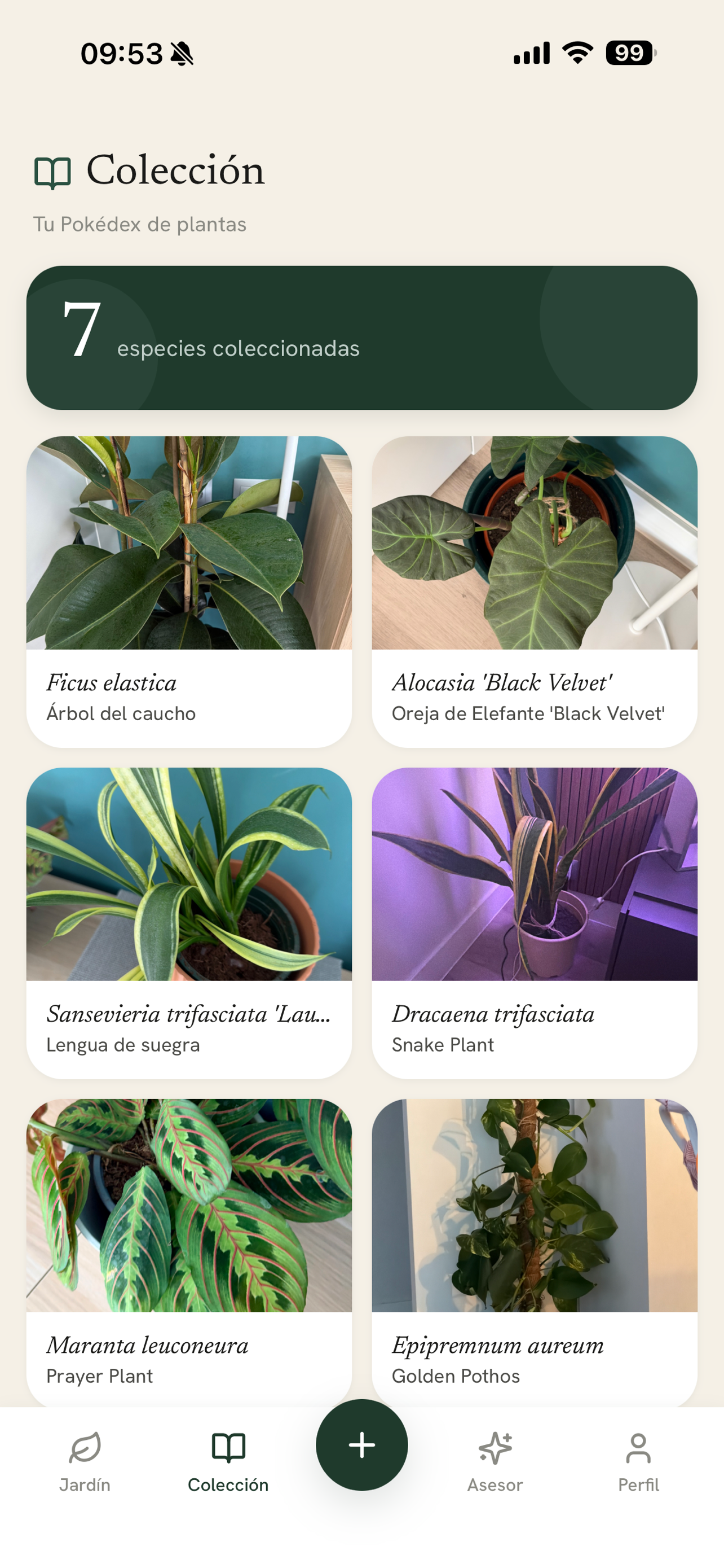 Folia Garden screenshot 3