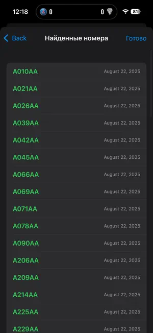 Number Plate Hunt screenshot 4