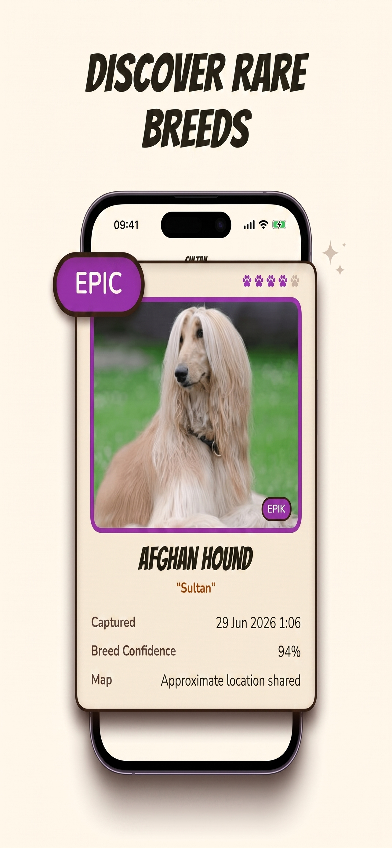 StreetPaws: Dog Collector screenshot 2
