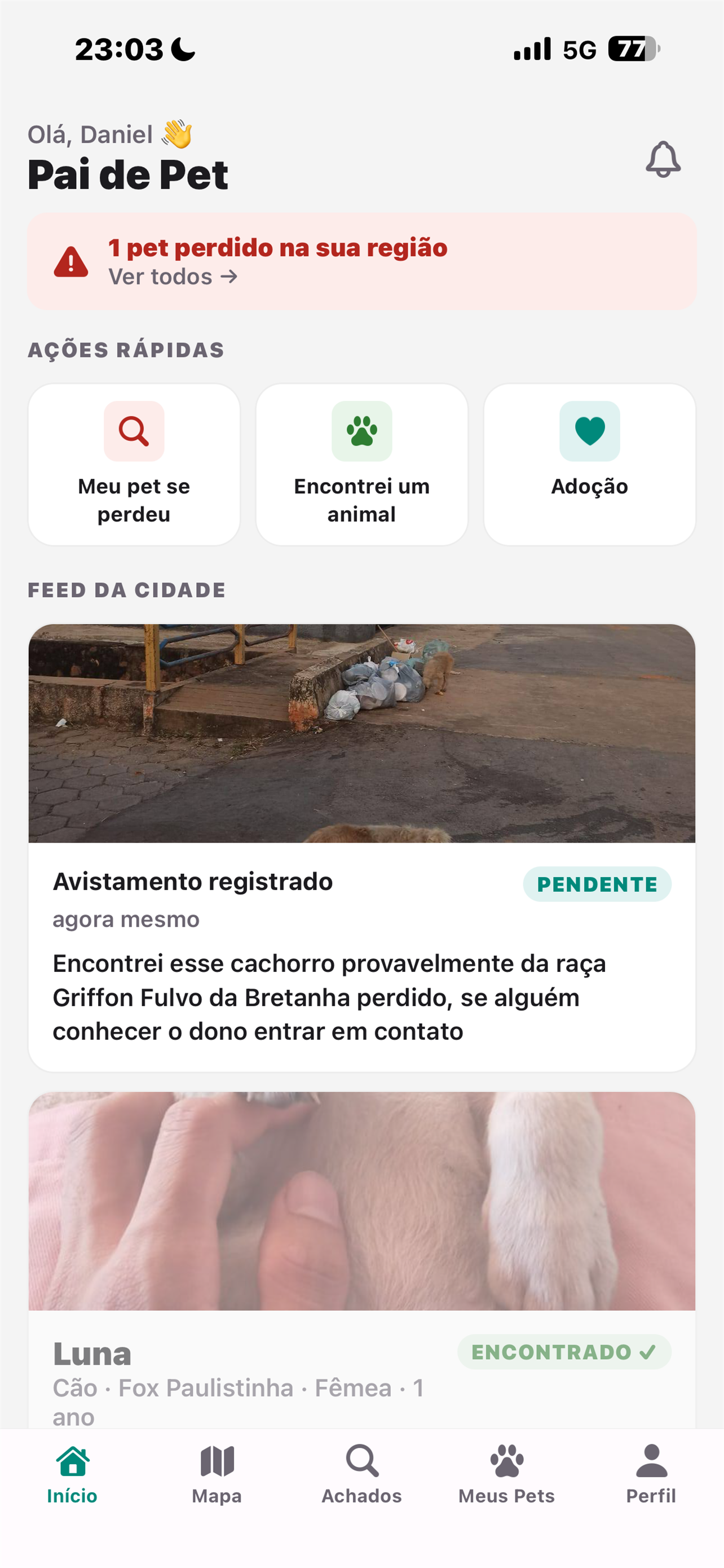 Pai de Pet screenshot 9