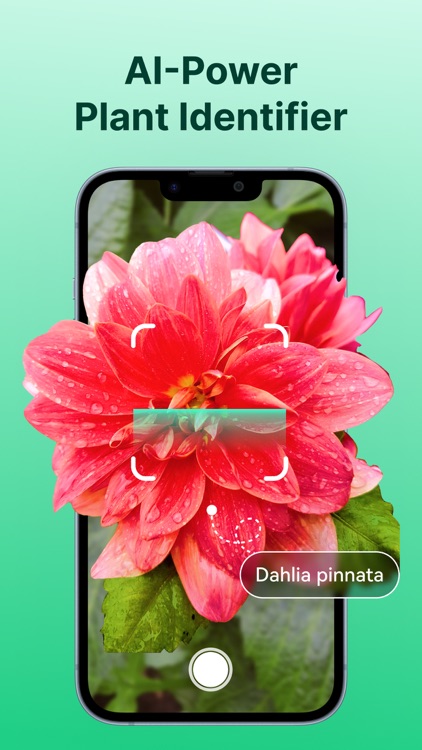 AI Plant Identifier·Care Guide