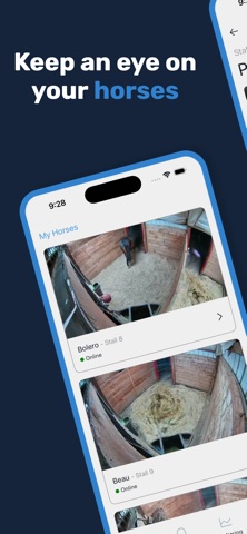 Equus AI screenshot