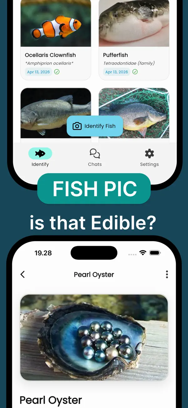 Screenshot #1 pour Fish Pic: Reconnaît IA