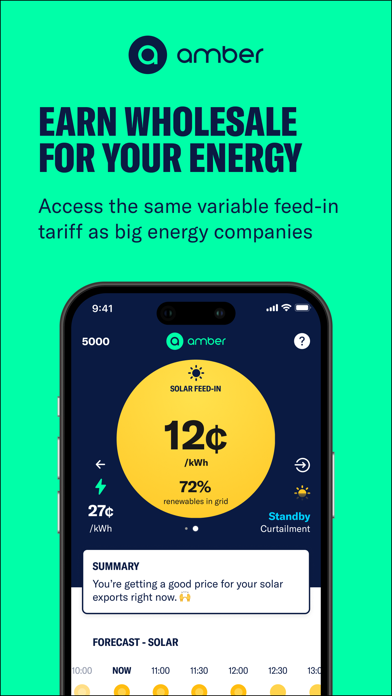 AmberElectric