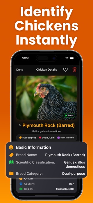 Chicken Identifier: Chickscan Screenshot 2 of 3