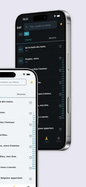 SAF - Sur les Ailes de la Foi screenshot 2