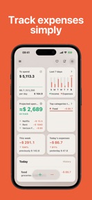 Expense Tracker: Money Gone screenshot