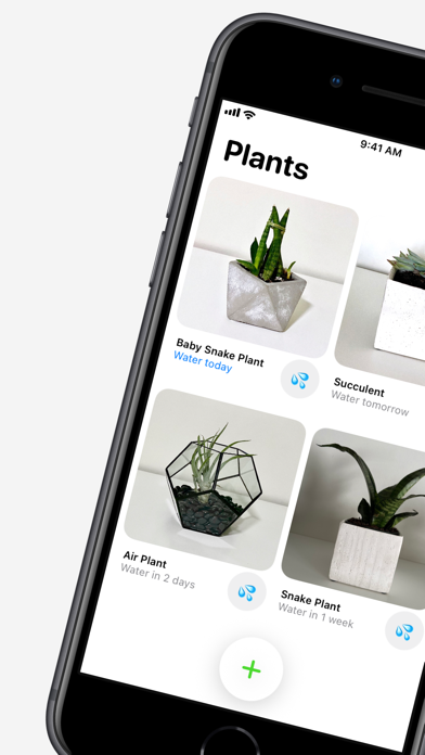 Plant Daddy — Water Reminders Screenshot